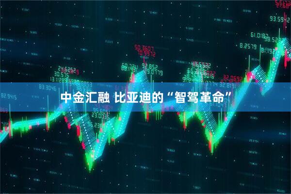 中金汇融 比亚迪的“智驾革命”