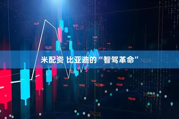 米配资 比亚迪的“智驾革命”