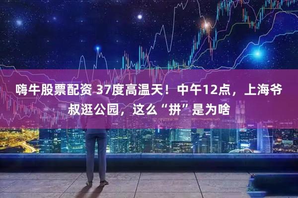嗨牛股票配资 37度高温天！中午12点，上海爷叔逛公园，这么“拼”是为啥