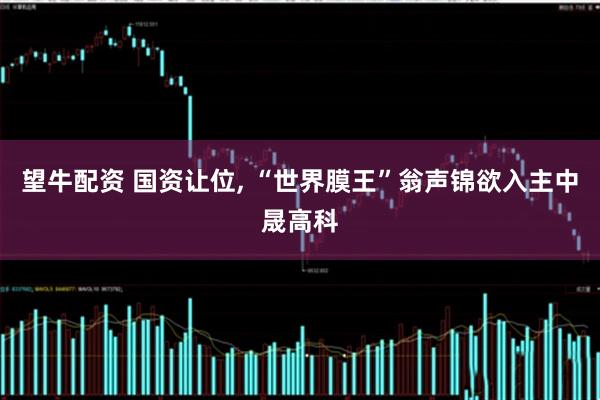 望牛配资 国资让位, “世界膜王”翁声锦欲入主中晟高科