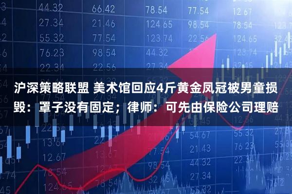 沪深策略联盟 美术馆回应4斤黄金凤冠被男童损毁:罩子没有固定;律师:可先由保险公司理赔